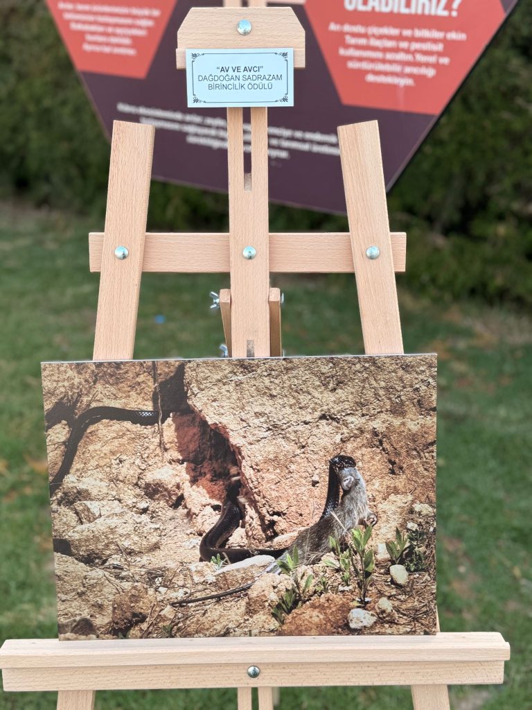Biyologlar Derneği fotoğraf yarışması ödül gecesi yapıldı
