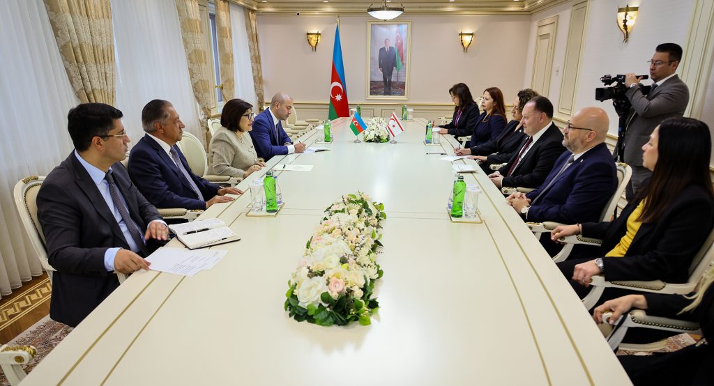 Öztürkler, Azerbaycan Milli Meclisi Başkanı Gafarova ile görüştü