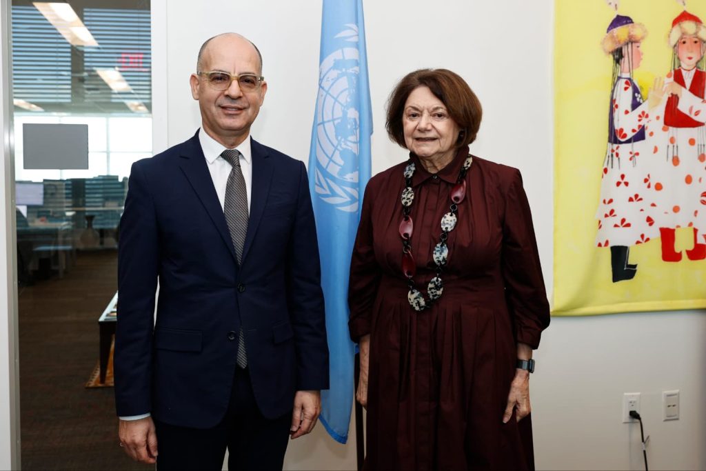 Cumhurbaşkanlığı Müsteşarı Mehmet Dânâ'dan New York’ta yoğun diplomatik temaslar