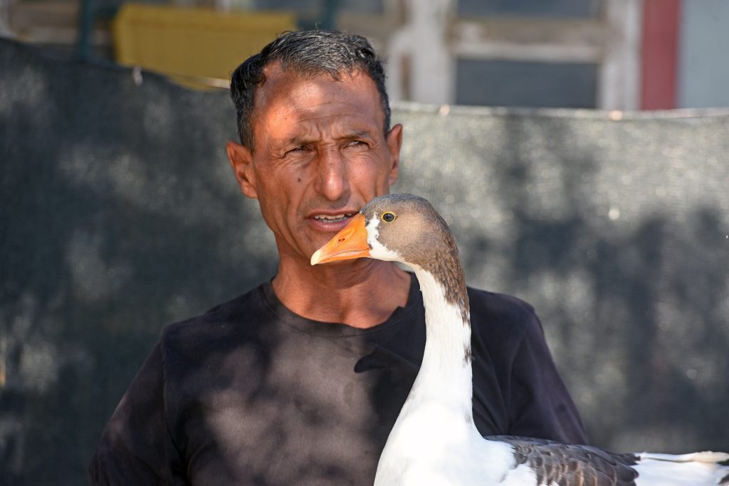 Kazlara fısıldayan adam: Tümer Debreli