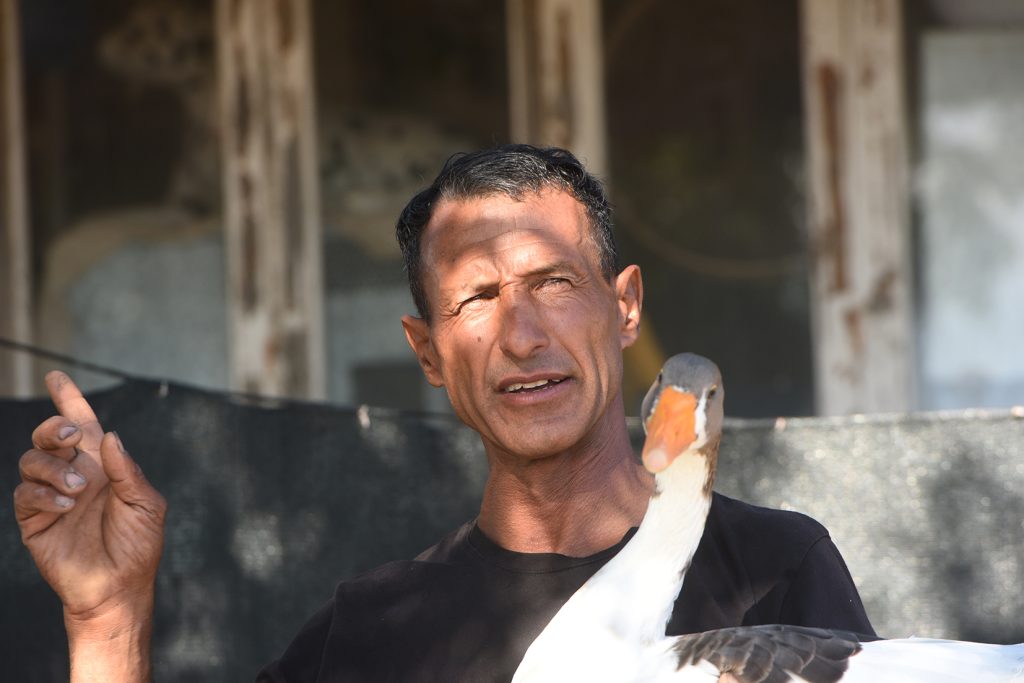 Kazlara fısıldayan adam: Tümer Debreli